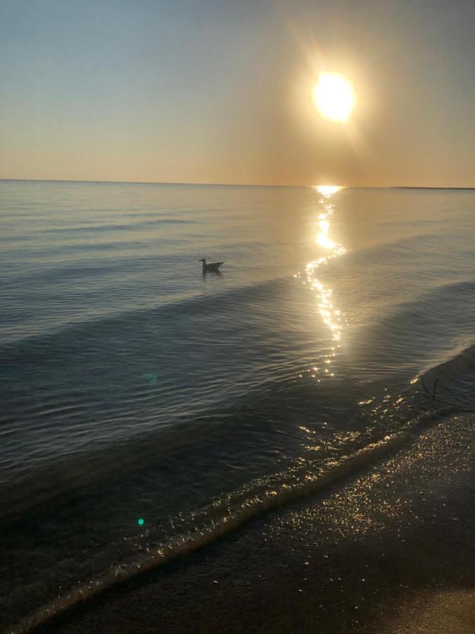 Primera Linea De Playa A 1Km Del Puerto De Denia Bagian luar foto